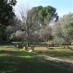 TERRAIN GRASSE