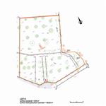 TERRAIN GRASSE