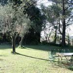 TERRAIN GRASSE