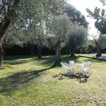 TERRAIN GRASSE