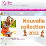 Kalikoboutique.com