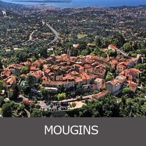 Appartements et villas à vendre à Mougins