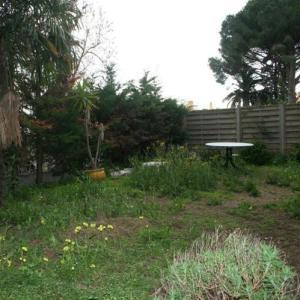 3 Pièces Cannes 450 000 €